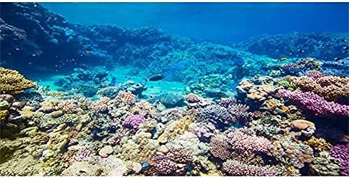 AWERT Akvárium Háttér Korallzátony Trópusi Halat, tenger Alatti akvárium Háttér Tartós Poliészter Háttér